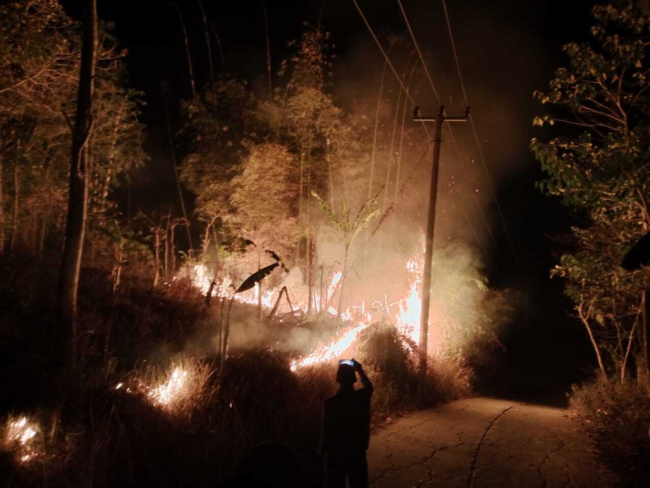 Kawasan Tegal Alun Gunung Papandayan Terbakar Tadi Malam